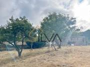 Terreno en Venta en Lugo