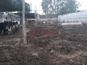 Terreno en venta en Lurin a S/2,948,000