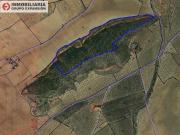 Terreno en Venta en Maestro Carrascosa Banda de Música