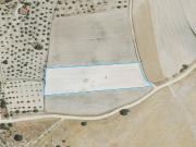 Terreno en Venta en Magacela