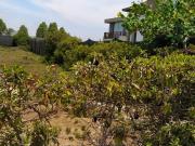 Terreno en venta en Mala a S/242,760