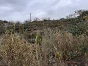 Terreno en Venta en Málaga