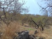 Terreno en Venta en Málaga