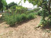 Terreno en venta en Mallorca, La Vileta Son Rapinya