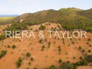 Terreno en Venta en Manacor