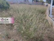 Terreno en Venta en Manises