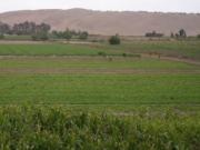 Terreno en venta en Manzanillo, Manzanillo, Colima