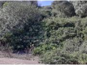 Terreno en Venta en Maó Mahón
