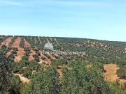 Terreno en Venta en Martos