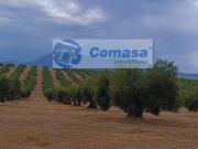 Terreno en Venta en Martos