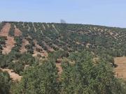 Terreno en Venta en Martos