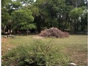 Terreno en Venta en Más Palomas Valle de Santiago,...