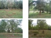 Terreno en Venta en Medina de Pomar