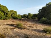 Terreno en Venta en Medina Sidonia