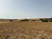 Terreno en Venta en Medina Sidonia