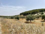 Terreno en Venta en Mejorada del Campo