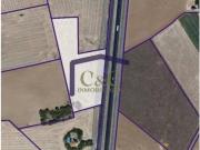 Terreno en Venta en Membrilla