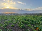 Terreno en Venta en Mérida