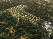 TERRENO EN VENTA EN MÉRIDA YUCATÁN EN TIXCUYTÚN