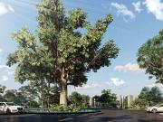 TERRENO EN VENTA EN MÉRIDA YUCATÁN EN LA CARRETERA...