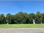 TERRENO EN VENTA EN METEPEC, CONDOMINIO CONDADO DEL VALLE