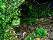 Terreno en Venta en Mieres Asturias