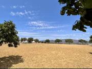 Terreno en Venta en Mijas Golf