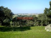 Terreno en Venta en Millanes