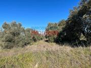 Terreno en Venta en Millanes