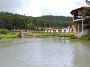 Terreno en venta en Mineral del Monte Centro, Mineral... Terreno en venta en Mineral del Monte Centro, Mineral...