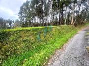 Terreno en Venta en Miño