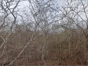 Terreno en venta en Mococha, Yucatán