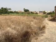 Terreno en Venta en Molina de Segura