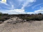 Terreno en Venta en Molina de Segura