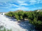 Terreno en Venta en Molina de Segura