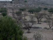 Terreno en Venta en Molina de Segura