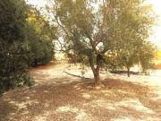 Terreno en Venta en Molina de Segura