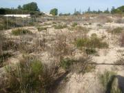 Terreno en Venta en Molina de Segura