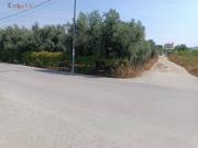 Terreno en Venta en Molina de Segura