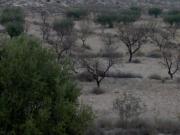 Terreno en venta en Molina de Segura, La Albarda