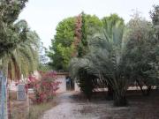 Terreno en venta en Molina de Segura, Los Vientos Casa Ros