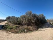 Terreno en venta en Molina de Segura, Molina de segura