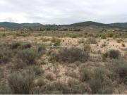 Terreno en Venta en Monóvar Monòver