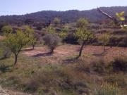 Terreno en venta en Monovar Monover, Collao victoriano