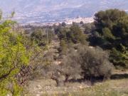 Terreno en venta en Monovar Monover, Collao victoriano