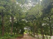 Terreno en Venta en Montemorelos Nuevo León