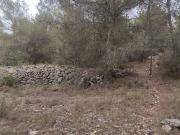 Terreno en venta en Montferri, de 50.000 m² por 60.500