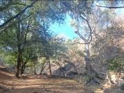 TERRENO EN VENTA EN MORELOS