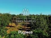 Terreno en venta en Moreno