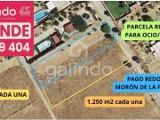 Terreno en venta en Morón de la Frontera